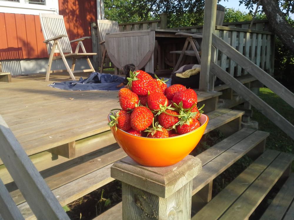 20160624_193420.jpg