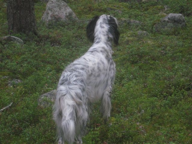 Mika hösten -08.jpg