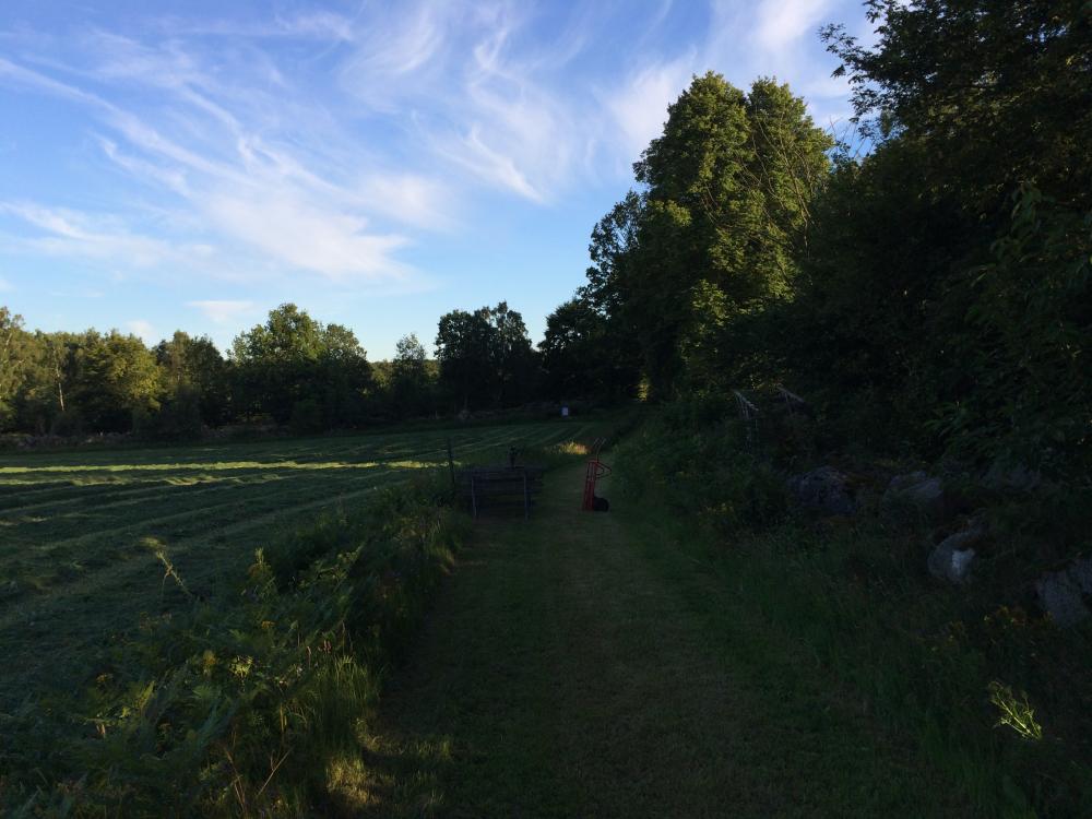 2016-07-21 19.40.56.jpg