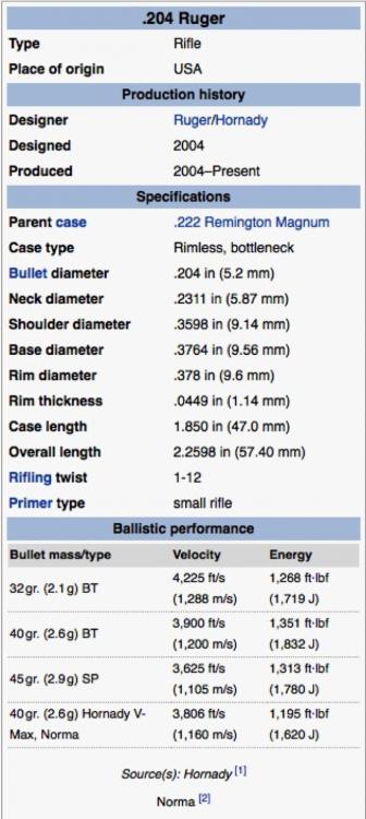 204_ruger_Wiki.jpg