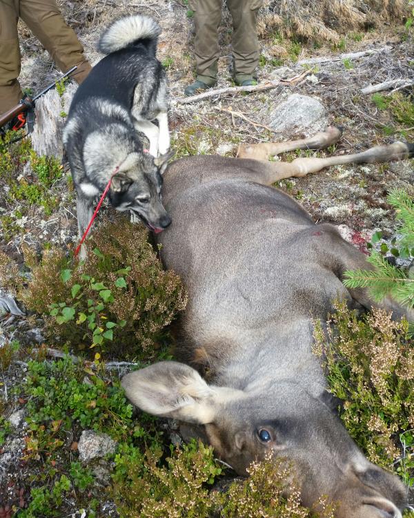 2016-09-10 18.53.50.jpg