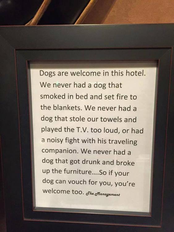 Hotel hund.jpg