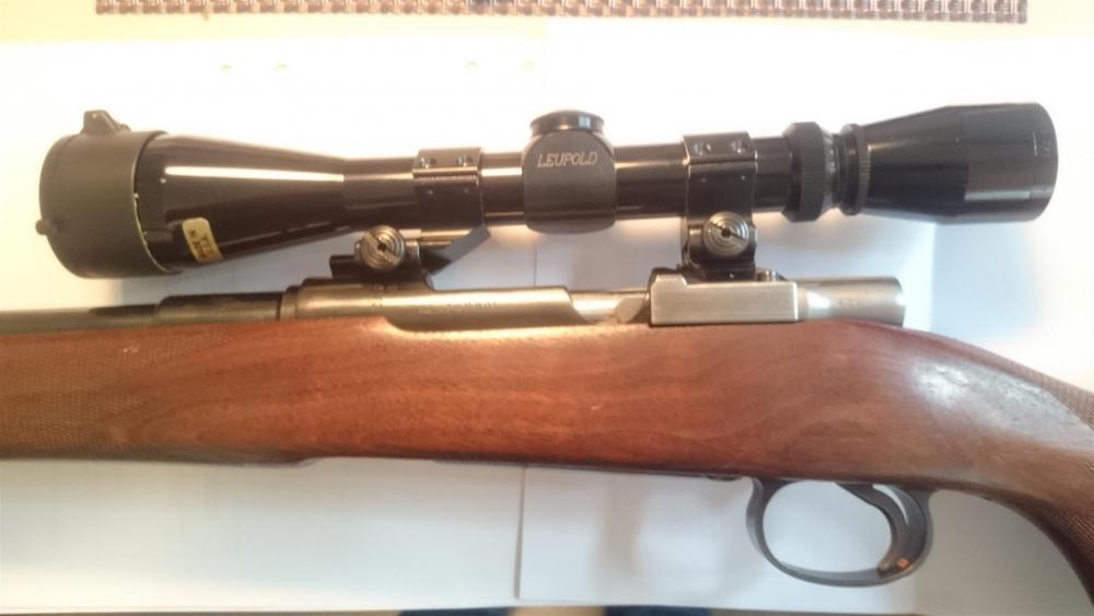 DSC_1773 (Large).JPG