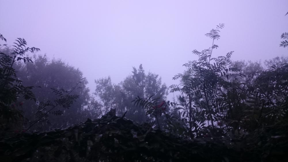 DSC_1574.JPG