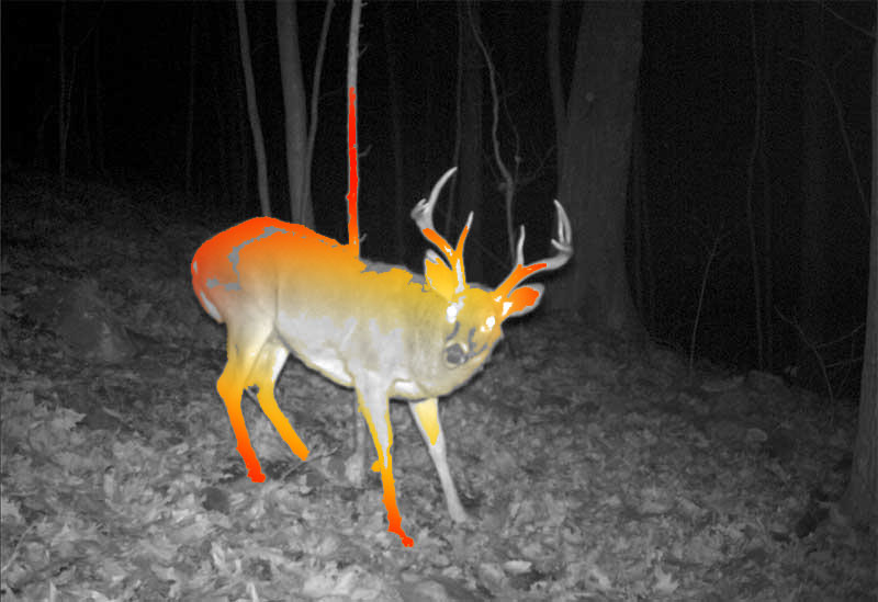 trailcam-shader.jpg