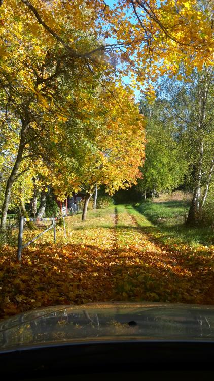 2016-10-04 23.27.50.jpg