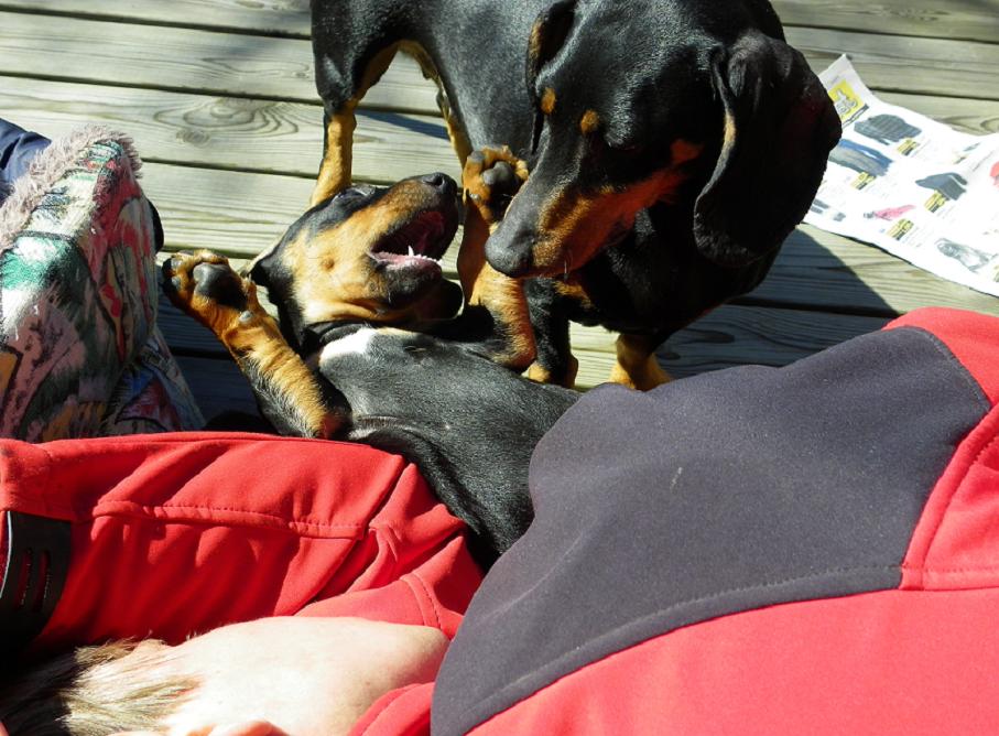 Har nästan bestämt mig för.,,