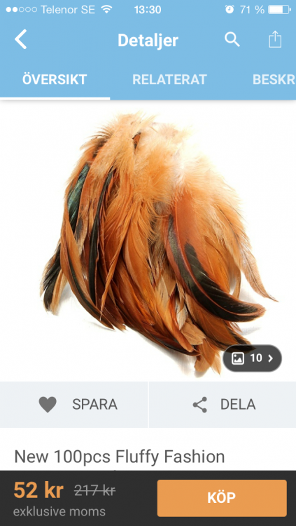 feathers.PNG
