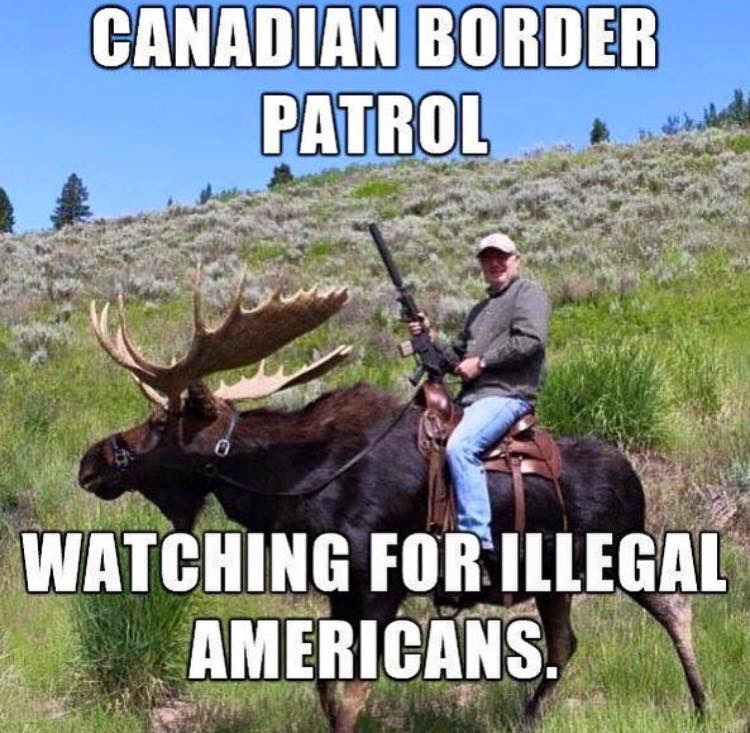 moose.JPG