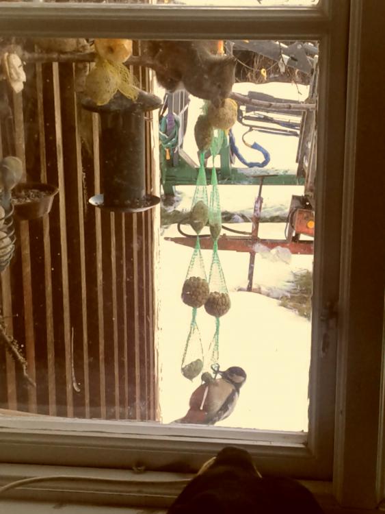 20161224_141944.jpg