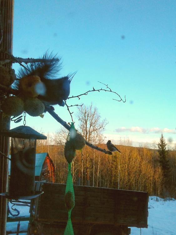 20161224_142835.jpg