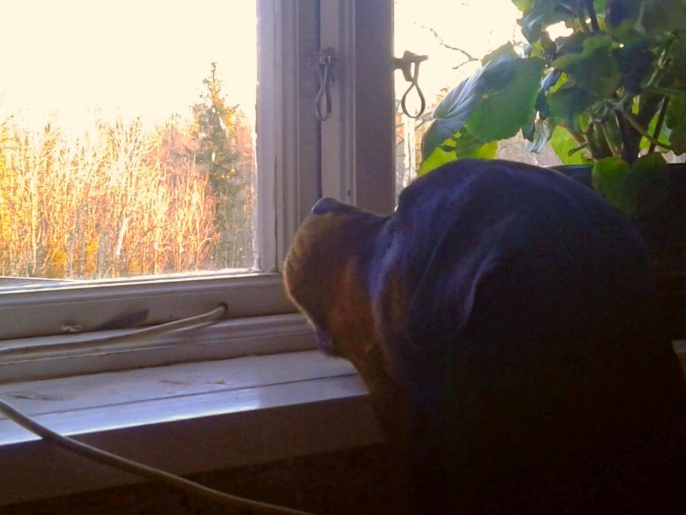 20161224_143111.jpg