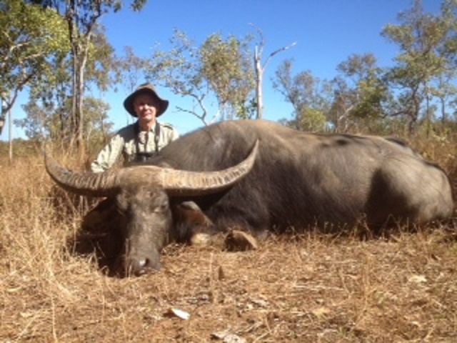 Buffel Austarlien.jpeg