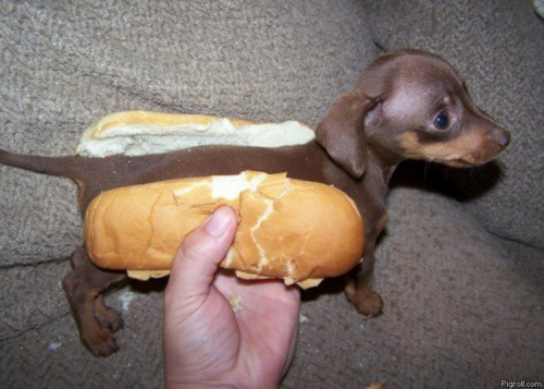 Hotdog.png
