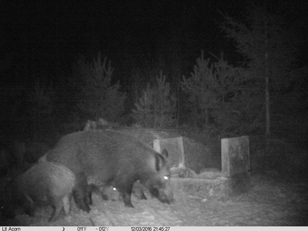 IMAG0035.JPG