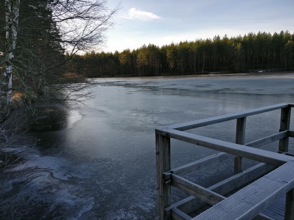 IMG_20161206_110356.jpg