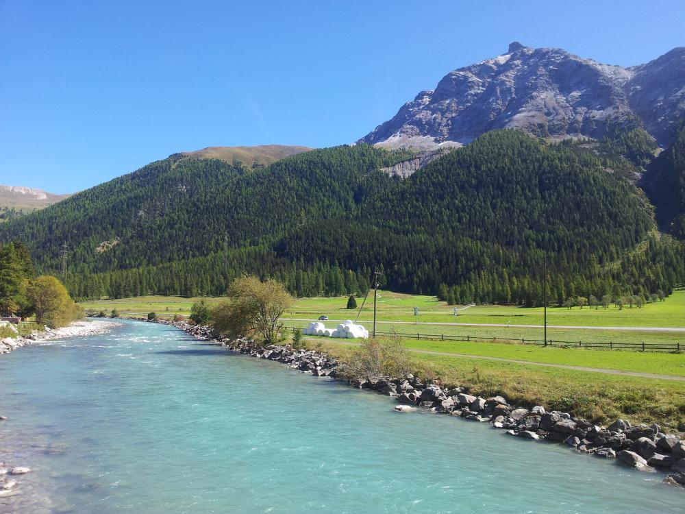 20140923_133623.jpg