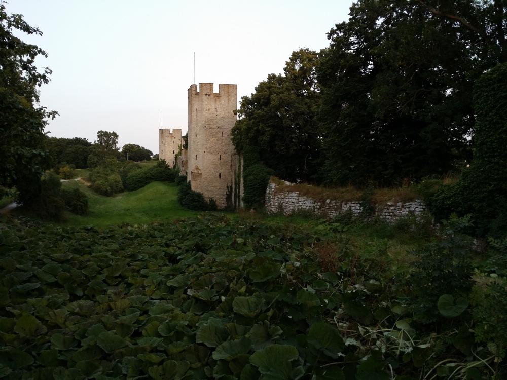 20150804_205449.jpg