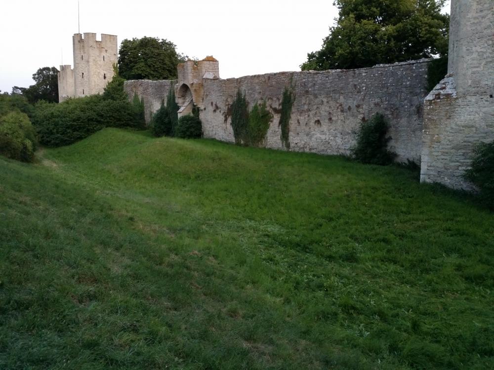 20150804_205644.jpg