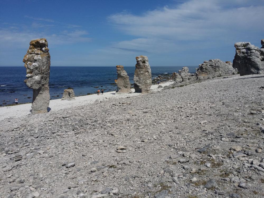 20150806_124205.jpg
