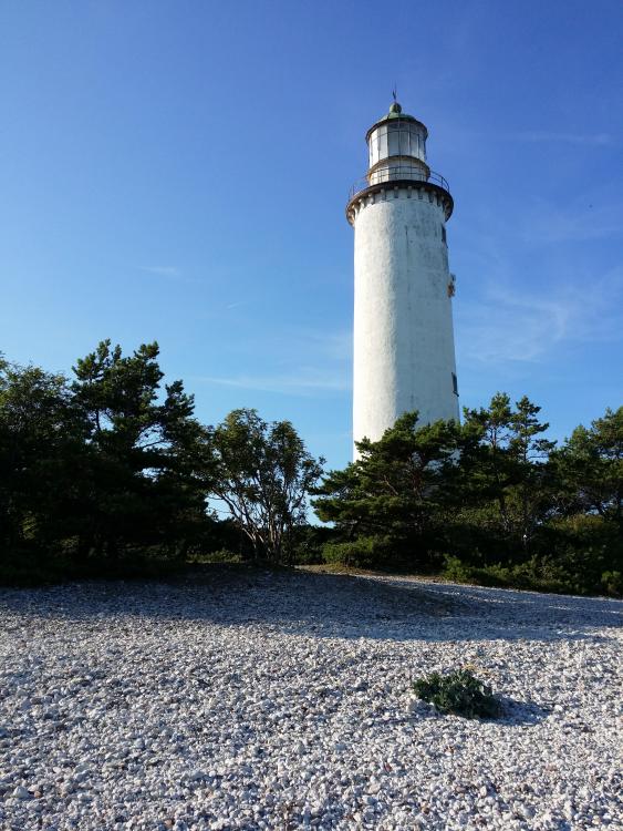 20150806_172240.jpg