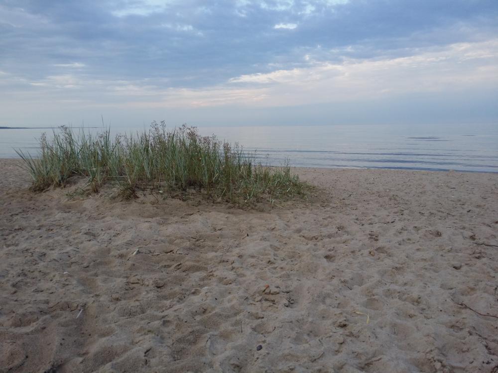 20150808_192739.jpg