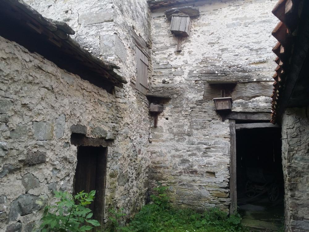 20150809_131652.jpg
