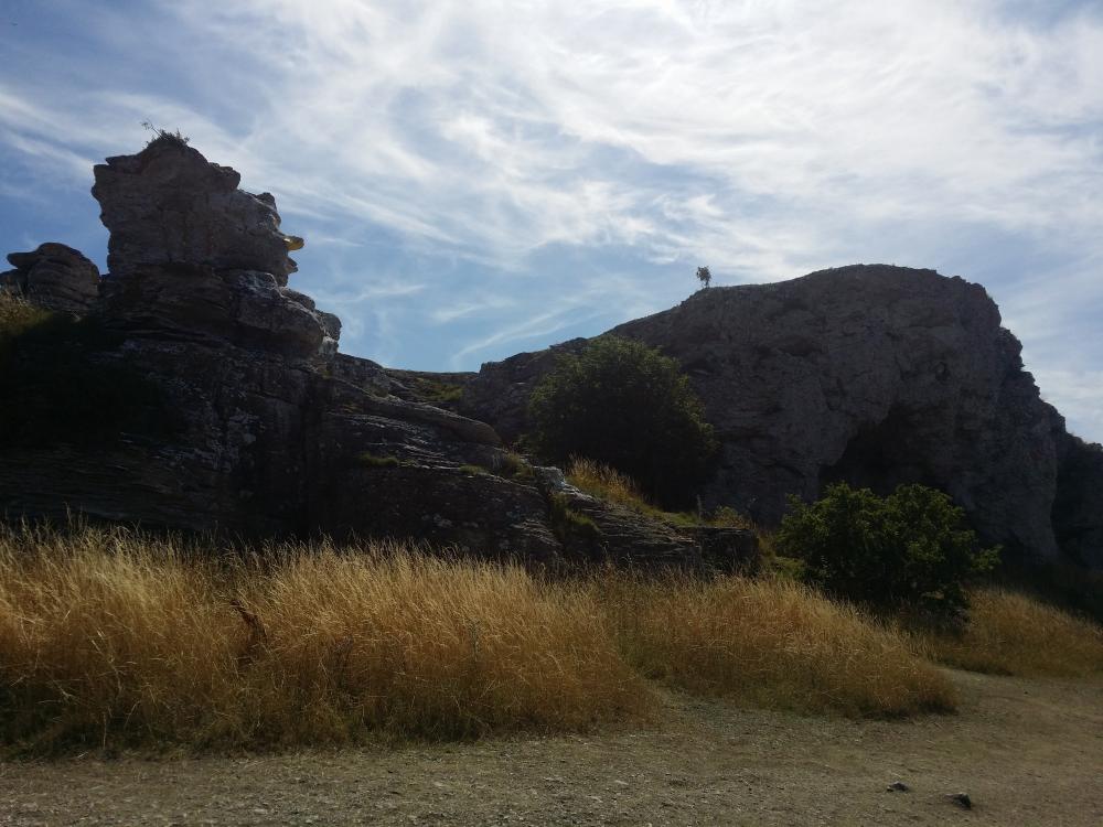 20150810_131929.jpg