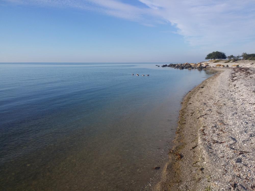 20150812_183007.jpg