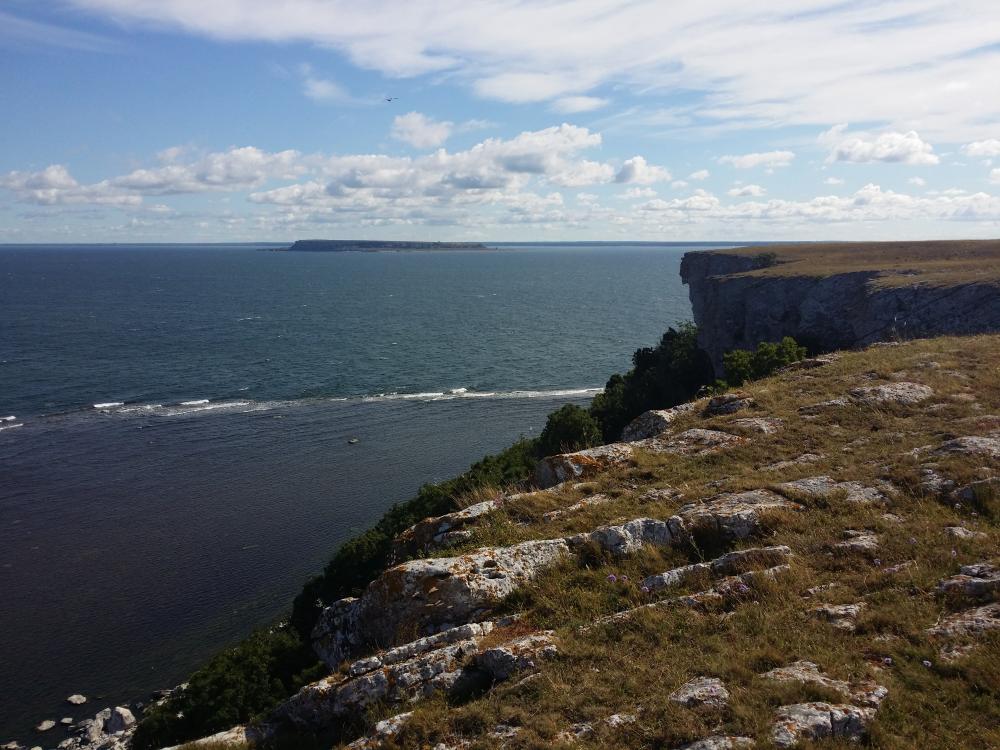 20150813_100845.jpg