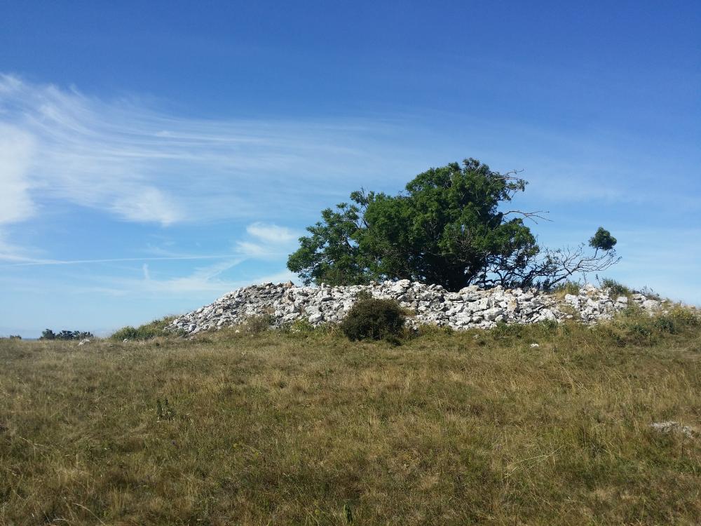 20150813_103857.jpg