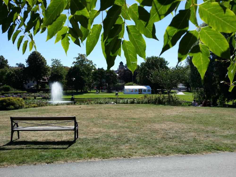 20150815_124903.jpg