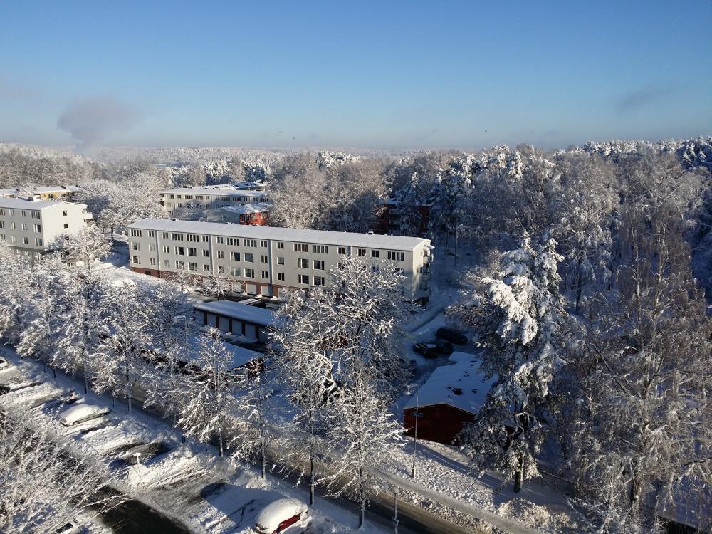 20160120_113507.jpg
