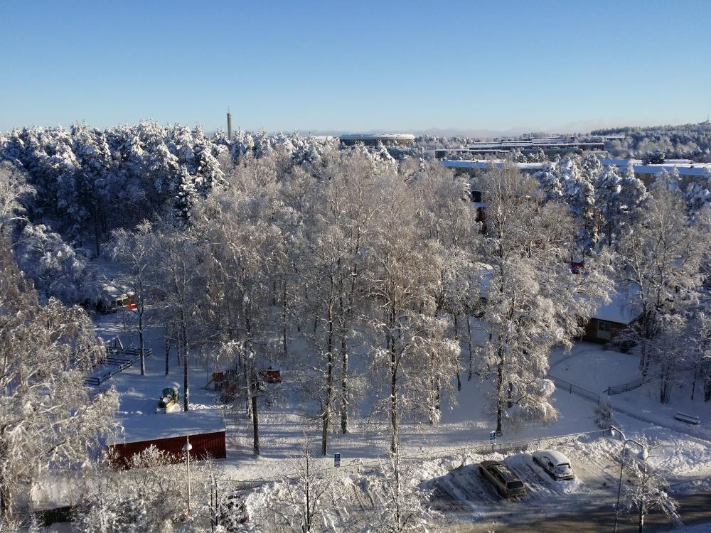 20160120_122229.jpg