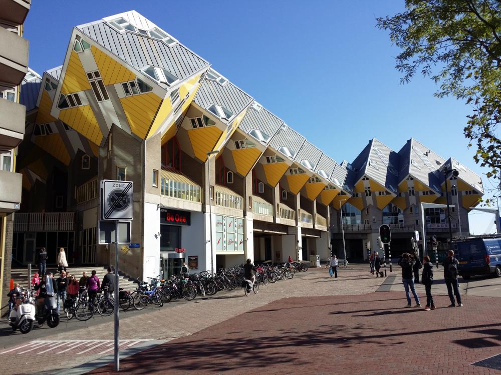 20161006_114137.jpg