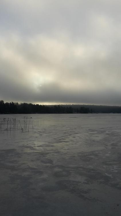 20170122_100120.jpg