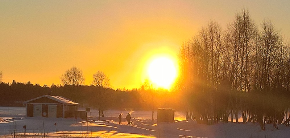 WP_20170107_11_53_40_Pro 2.jpg