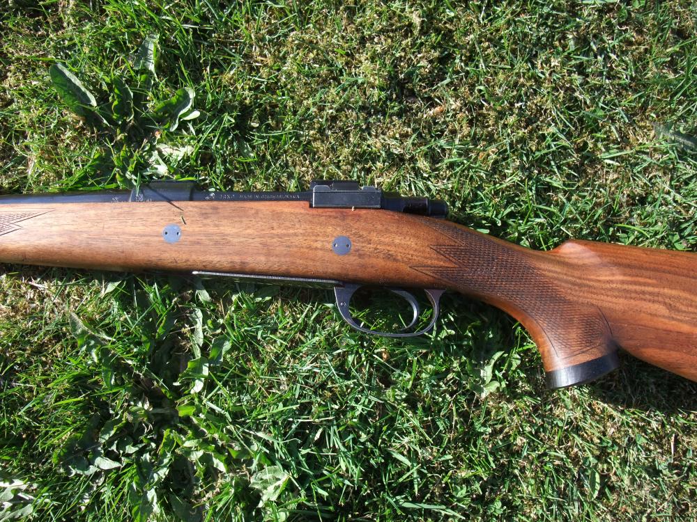 Todd's bössa 007.JPG