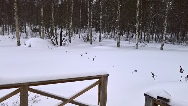 WP_20170113_10_59_59_Pro.jpg