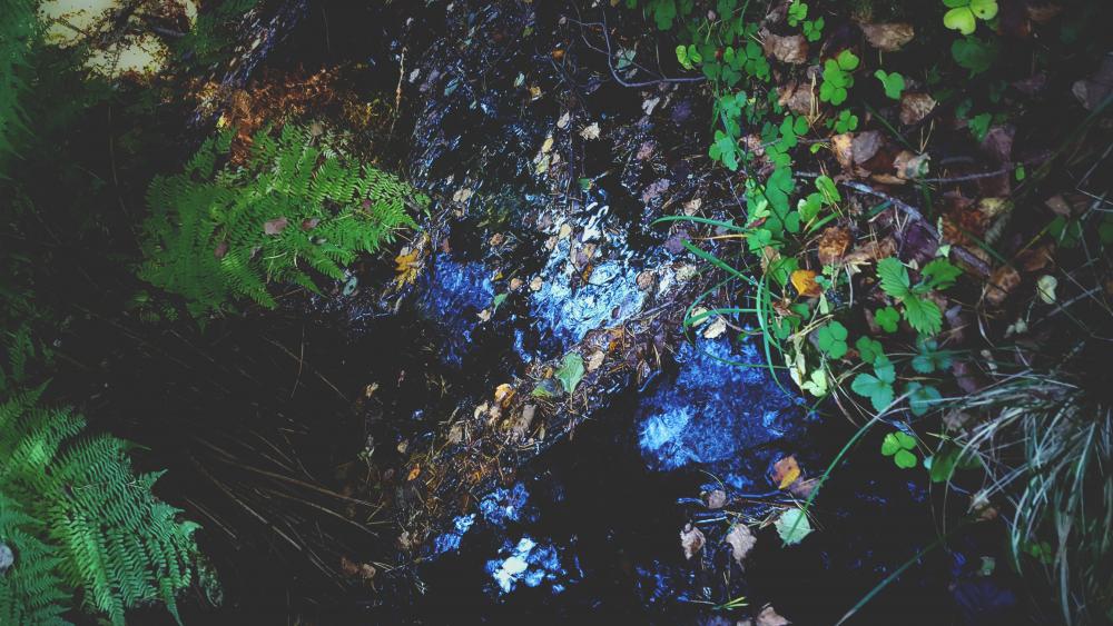20161001_131008.jpg