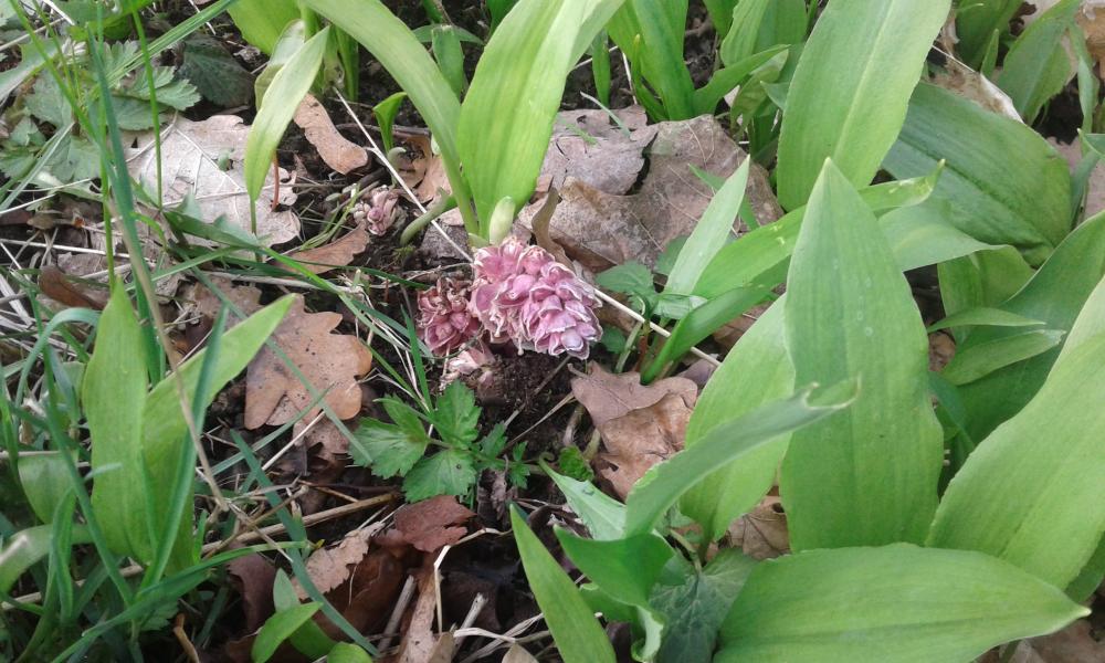 20170415_104636.jpg