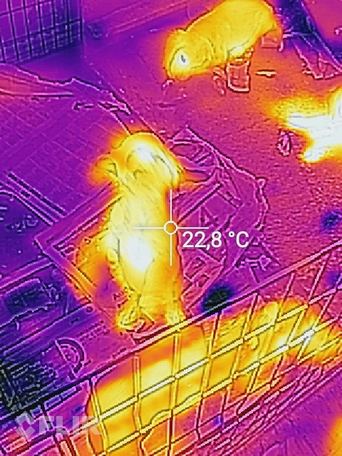 58f3a43d6b065_flir_20170416T1723191.jpg.811c2ea84c6e20268173265a20d80605.jpg