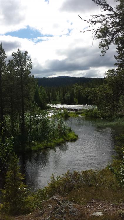 20150801_145617.jpg