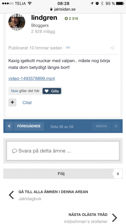 IMG_0809.PNG