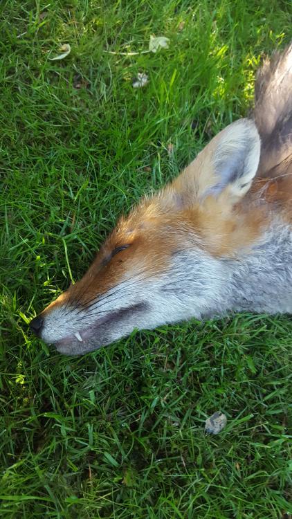 20170614_081959.jpg