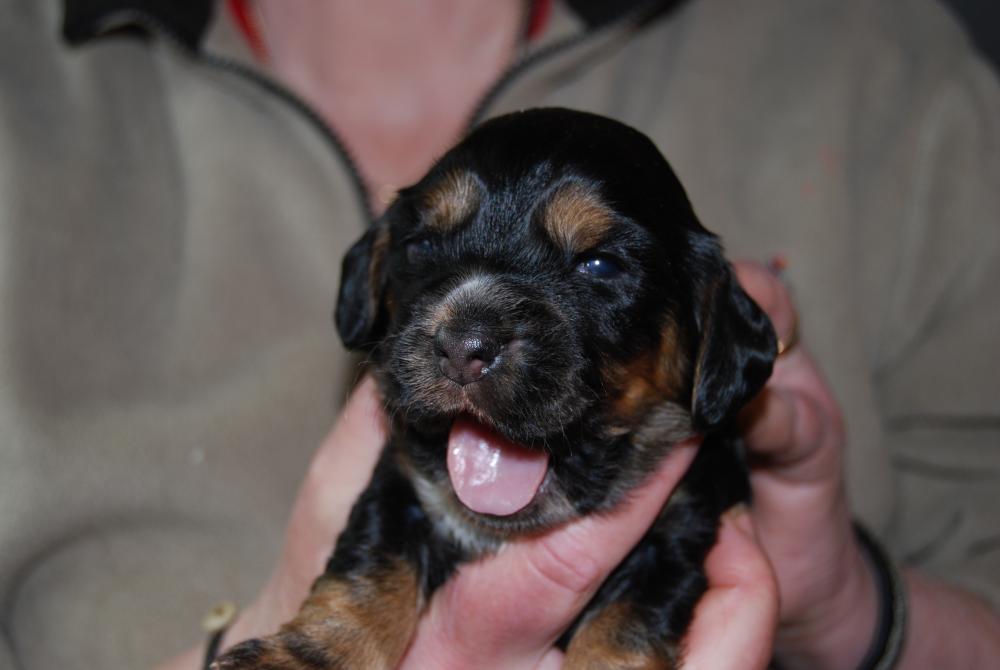 DSC_0073.thumb.JPG.a5962bf89e47c3a5ce5d60653f278f3b.JPG