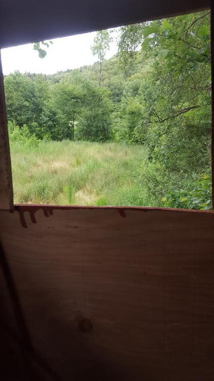 20170702_181543.jpg