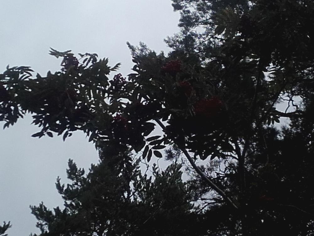 20170813_152424.jpg