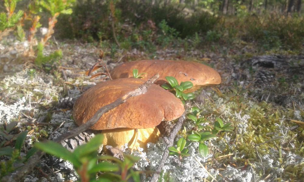 20170831_090911.jpg