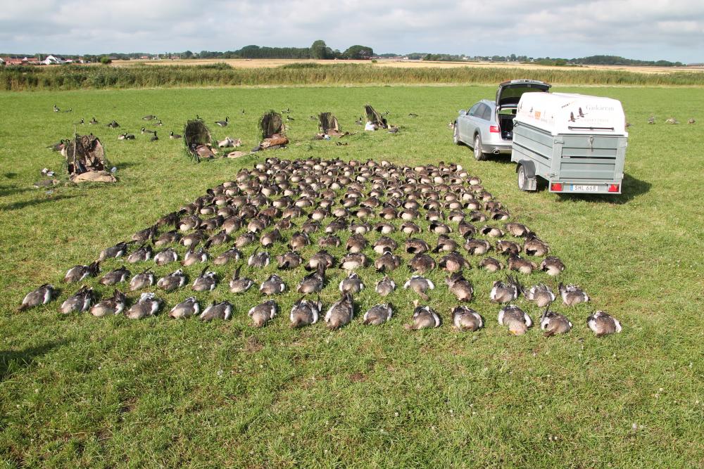 IMG_9264.JPG